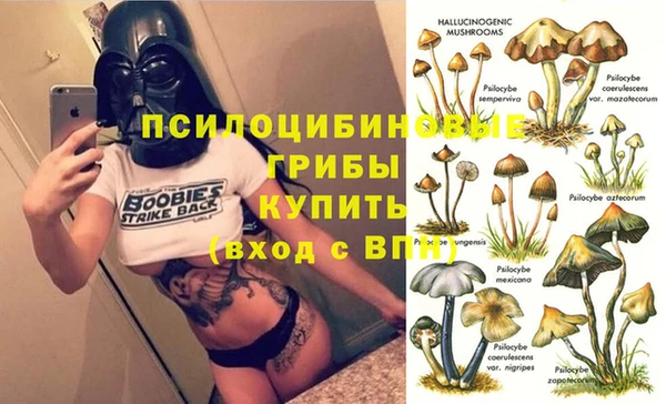 твердый Нефтегорск