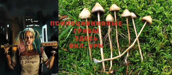 марки nbome Новодвинск