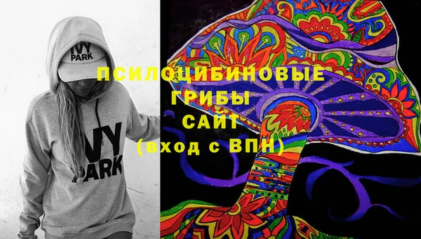 твердый Нефтегорск