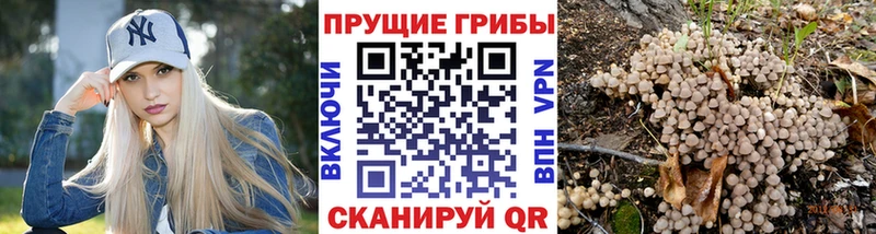 мега вход  Нариманов  Псилоцибиновые грибы мухоморы 